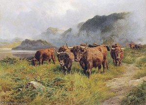 Highland Cattle In A Glen — Claude Cardon