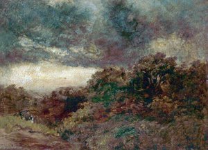 Rain Clouds over Raby Mere, Wirral