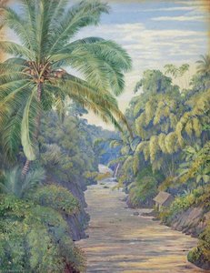 Views From The Bridge At Buitenzorg (bogor), Java — Marianne North