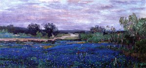 Blue Bonnets at Twilight