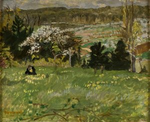 Woman Picking Flowers
