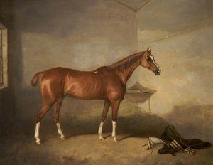 A Chestnut Horse in a Stable
