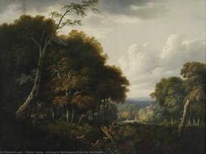Looking To Southampton From The New Forest — Tobias Young