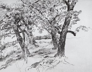 Trees — Ivan Ivanovich Shishkin, Realism