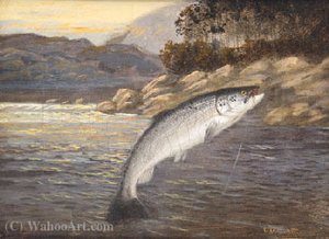 A Salmon Leap; And A Rainbow Trout Leap — A. Roland Knight