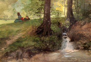 Couple At Waterfall