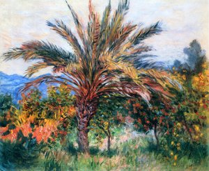 Palm Tree At Bordighera — Claude Monet