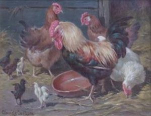 Chickens In A Farmyard
