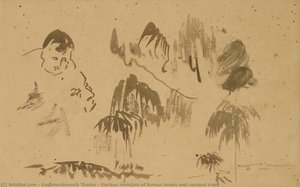 Various sketches of human heads and coconut trees