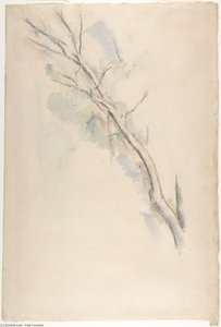 Studies Of A Tree — Paul Cézanne