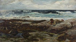 The Naturalist