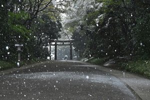 Snow Day — Mariko Asayama
