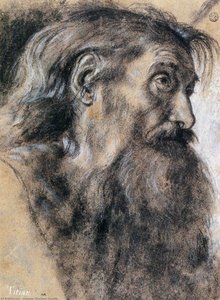 Head Of St Jerome — Giovanni Gerolamo Savoldo, High Renaissance