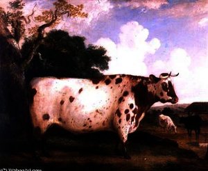 A Shorthorn Bull in a Landscape