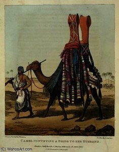 Camel Conveying A Bride To Her Husband — George Francis Lyon
