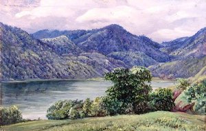Mr Moffat's Farm, Queensland — Marianne North