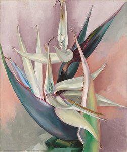 White Bird Of Paradise — Georgia O'keeffe