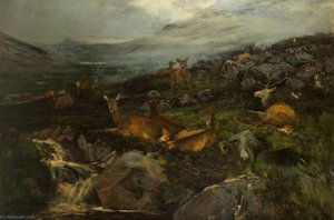 Deer Resting — John Sydney Steel