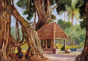 Banyan Tree At Passu Gulag Near Diocio, Java — Marianne North, Victorian Botanical Painting
