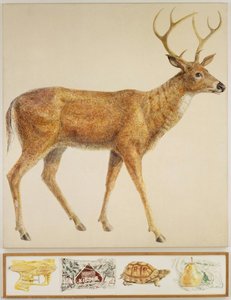 Hudson River Series: Deer — Don Nice, Pop Realism