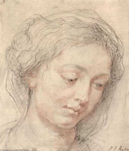 Head Of Woman — Peter Paul Rubens