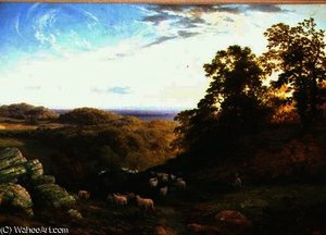 The young shepherd
