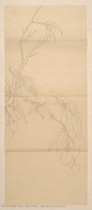 Mynah And Lychee — Xie Zhiliu