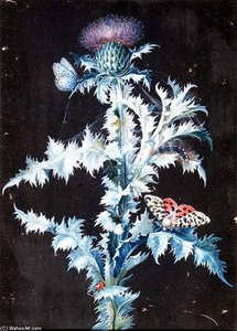Still Life Of A Thistle (gouache) — Barbara Regina Dietzsch