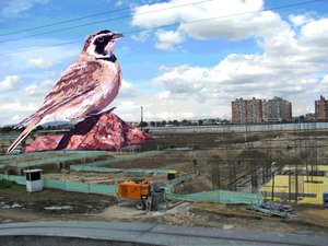 Alondra Cornuda, De La Serie Especies Invisibles (horned Lark, From The Invisible Species Series) — Katherinne Sánchez Gómez