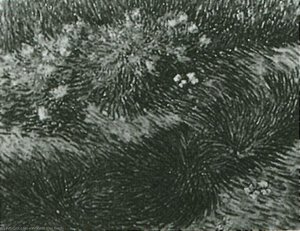 Grass And Butterflies — Vincent Willem Van Gogh