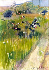 Rosebush In A Meadow — Ferdinand Hodler