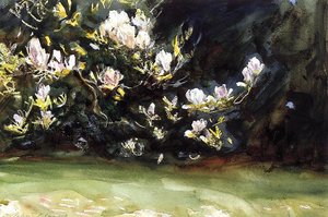 Magnolias — John Singer Sargent