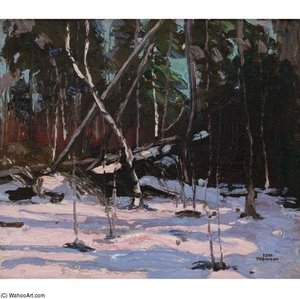 Early Snow, Algonquin Park