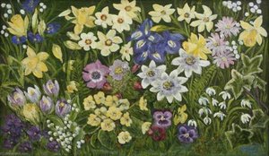 Spring Flowers