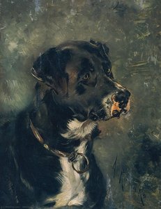 Head Of A Butcher's Dog — Anton Romako