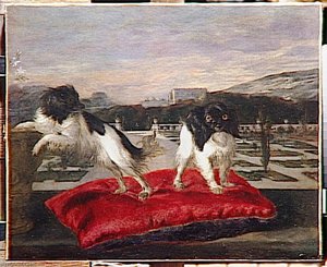 Deux Petits Chiens — Nicasius Bernaerts, Dutch Golden Age Painting