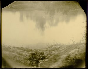 Untitled — Sally Turner Munger