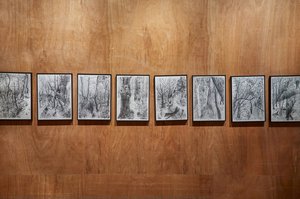 Disappeared In Forest- Series Disappeared In Forest- Series — Park Gwangsoo