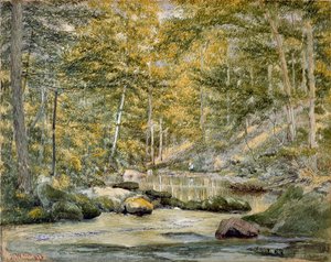 Woodland Pool With Men Fishing — John William Hill