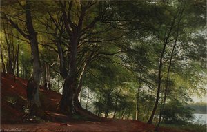 Forest scene from Sorø, Denmark