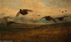Driven Partridge; And The Twelfth — Archibald Thorburn