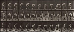 Animal Locomotion, Plate 388