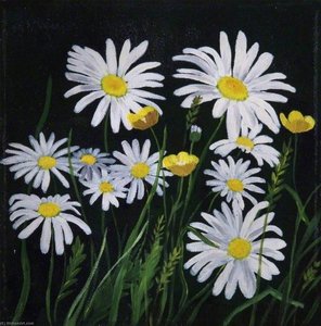 Poppies, Buttercups and Daisies