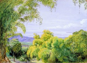 View Over Port Royal, Jamaica, With Bamboos In The Foreground — Marianne North