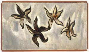 Starfish — Marsden Hartley