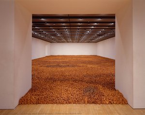 Field For The British Isles — Sir Antony Mark David Gormley