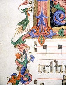 Zoomorphic Foliage With Bird And Male Head