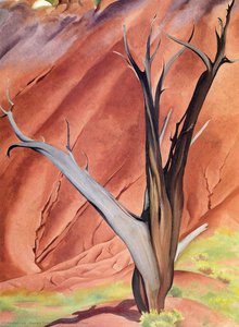 Gerald`s Tree — Georgia O'keeffe