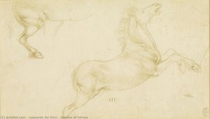 Studies Of Horses — Leonardo Da Vinci, Renaissance
