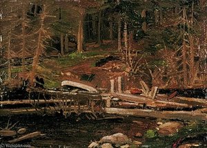 Old Lumber Dam, Algonquin Park